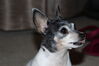 Filename=20210604_033.jpg
Filesize=193KiB
Dimensions=2048x1365
Date added=Dec 28, 2021 20210604_033.jpg