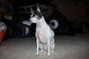 Filename=20210604_035.jpg
Filesize=258KiB
Dimensions=2048x1365
Date added=Dec 28, 2021 20210604_035.jpg