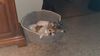 Filename=20210611_001.jpg
Filesize=275KiB
Dimensions=2048x1152
Date added=Dec 28, 2021 20210611_001.jpg