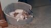 Filename=20210611_002.jpg
Filesize=293KiB
Dimensions=2048x1152
Date added=Dec 28, 2021 20210611_002.jpg