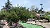 Filename=20210618_009.jpg
Filesize=624KiB
Dimensions=2048x1152
Date added=Dec 28, 2021 20210618_009.jpg
