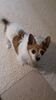 Filename=20210625_003.jpg
Filesize=418KiB
Dimensions=1152x2048
Date added=Dec 28, 2021 20210625_003.jpg