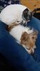 Filename=20210628_017.jpg
Filesize=373KiB
Dimensions=1152x2048
Date added=Dec 28, 2021 20210628_017.jpg