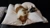 Filename=20210628_018.jpg
Filesize=233KiB
Dimensions=2048x1152
Date added=Dec 28, 2021 20210628_018.jpg
