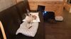 Filename=20210629_003.jpg
Filesize=307KiB
Dimensions=2048x1152
Date added=Dec 28, 2021 20210629_003.jpg