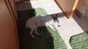 Filename=20210701_001.jpg
Filesize=397KiB
Dimensions=2048x1152
Date added=Dec 29, 2021 20210701_001.jpg