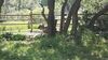 Filename=20210704_003.jpg
Filesize=814KiB
Dimensions=2048x1152
Date added=Dec 29, 2021 20210704_003.jpg