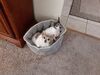 Filename=20210708_001.jpg
Filesize=819KiB
Dimensions=2048x1536
Date added=Dec 29, 2021 20210708_001.jpg