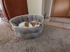 Filename=20210708_004.jpg
Filesize=506KiB
Dimensions=2048x1536
Date added=Dec 29, 2021 20210708_004.jpg