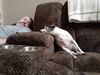 Filename=20210709_006.jpg
Filesize=657KiB
Dimensions=2048x1536
Date added=Dec 29, 2021 20210709_006.jpg