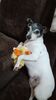 Filename=20210709_008.jpg
Filesize=294KiB
Dimensions=1152x2048
Date added=Dec 29, 2021 20210709_008.jpg