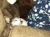 Filename=20210709_009.jpg
Filesize=697KiB
Dimensions=2048x1536
Date added=Dec 29, 2021 20210709_009.jpg