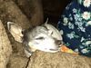 Filename=20210709_010.jpg
Filesize=599KiB
Dimensions=2048x1536
Date added=Dec 29, 2021 20210709_010.jpg