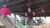 Filename=20210717_004.jpg
Filesize=439KiB
Dimensions=2048x1152
Date added=Dec 29, 2021 20210717_004.jpg