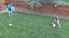 Filename=20210717_013.jpg
Filesize=634KiB
Dimensions=2048x1152
Date added=Dec 29, 2021 20210717_013.jpg