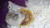 Filename=20210718_001.jpg
Filesize=446KiB
Dimensions=2048x1152
Date added=Dec 29, 2021 20210718_001.jpg