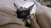 Filename=20210723_002.jpg
Filesize=352KiB
Dimensions=2048x1152
Date added=Dec 29, 2021 20210723_002.jpg