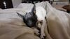 Filename=20210723_003.jpg
Filesize=333KiB
Dimensions=2048x1152
Date added=Dec 29, 2021 20210723_003.jpg
