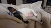 Filename=20210723_005.jpg
Filesize=312KiB
Dimensions=2048x1152
Date added=Dec 29, 2021 20210723_005.jpg