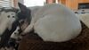 Filename=20210726_001.jpg
Filesize=248KiB
Dimensions=2048x1152
Date added=Dec 29, 2021 20210726_001.jpg