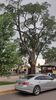 Filename=20210731_005.jpg
Filesize=741KiB
Dimensions=1152x2048
Date added=Dec 29, 2021 20210731_005.jpg