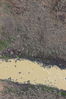 Filename=20210801_061.jpg
Filesize=674KiB
Dimensions=1365x2048
Date added=Dec 30, 2021 20210801_061.jpg