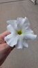 Filename=20210802_001.jpg
Filesize=331KiB
Dimensions=1152x2048
Date added=Dec 30, 2021 20210802_001.jpg