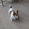 Filename=20210802_005.jpg
Filesize=1015KiB
Dimensions=2048x2048
Date added=Dec 30, 2021 20210802_005.jpg