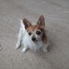 Filename=20210802_007.jpg
Filesize=894KiB
Dimensions=2048x2048
Date added=Dec 30, 2021 20210802_007.jpg