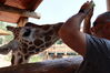 Filename=20210808_002.jpg
Filesize=312KiB
Dimensions=2048x1365
Date added=Dec 30, 2021 20210808_002.jpg