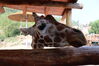 Filename=20210808_004.jpg
Filesize=278KiB
Dimensions=2048x1365
Date added=Dec 30, 2021 20210808_004.jpg