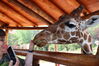 Filename=20210808_007.jpg
Filesize=404KiB
Dimensions=2048x1365
Date added=Dec 30, 2021 20210808_007.jpg
