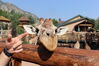 Filename=20210808_015.jpg
Filesize=455KiB
Dimensions=2048x1365
Date added=Dec 30, 2021 20210808_015.jpg