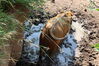 Filename=20210808_020.jpg
Filesize=549KiB
Dimensions=2048x1365
Date added=Dec 30, 2021 20210808_020.jpg