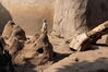 Filename=20210808_027.jpg
Filesize=688KiB
Dimensions=2048x1365
Date added=Dec 30, 2021 20210808_027.jpg