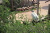 Filename=20210808_030.jpg
Filesize=708KiB
Dimensions=2048x1365
Date added=Dec 30, 2021 20210808_030.jpg