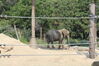 Filename=20210808_033.jpg
Filesize=757KiB
Dimensions=2048x1365
Date added=Dec 30, 2021 20210808_033.jpg
