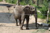 Filename=20210808_035.jpg
Filesize=636KiB
Dimensions=2048x1365
Date added=Dec 30, 2021 20210808_035.jpg