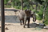 Filename=20210808_036.jpg
Filesize=714KiB
Dimensions=2048x1365
Date added=Dec 30, 2021 20210808_036.jpg