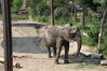 Filename=20210808_038.jpg
Filesize=666KiB
Dimensions=2048x1365
Date added=Dec 30, 2021 20210808_038.jpg