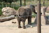 Filename=20210808_039.jpg
Filesize=670KiB
Dimensions=2048x1365
Date added=Dec 30, 2021 20210808_039.jpg