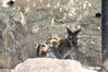 Filename=20210808_040.jpg
Filesize=601KiB
Dimensions=2048x1365
Date added=Dec 30, 2021 20210808_040.jpg