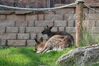 Filename=20210808_042.jpg
Filesize=633KiB
Dimensions=2048x1365
Date added=Dec 30, 2021 20210808_042.jpg
