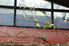Filename=20210808_044.jpg
Filesize=390KiB
Dimensions=2048x1365
Date added=Dec 30, 2021 20210808_044.jpg