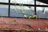 Filename=20210808_045.jpg
Filesize=454KiB
Dimensions=2048x1365
Date added=Dec 30, 2021 20210808_045.jpg