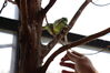 Filename=20210808_046.jpg
Filesize=216KiB
Dimensions=2048x1365
Date added=Dec 30, 2021 20210808_046.jpg