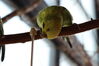 Filename=20210808_048.jpg
Filesize=190KiB
Dimensions=2048x1365
Date added=Dec 30, 2021 20210808_048.jpg