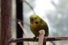 Filename=20210808_050.jpg
Filesize=159KiB
Dimensions=2048x1365
Date added=Dec 30, 2021 20210808_050.jpg