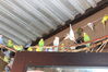 Filename=20210808_052.jpg
Filesize=336KiB
Dimensions=2048x1365
Date added=Dec 30, 2021 20210808_052.jpg
