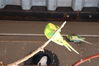 Filename=20210808_053.jpg
Filesize=191KiB
Dimensions=2048x1365
Date added=Dec 30, 2021 20210808_053.jpg